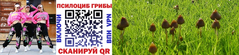 Купить где Называевск Галлюциногенные грибы мицелий