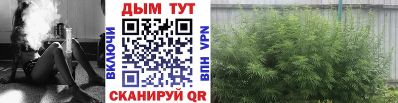 Купить  Называевск  Марихуана AK-47 